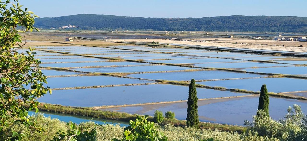 Apartment Salt Pans View Portorož Extérieur photo