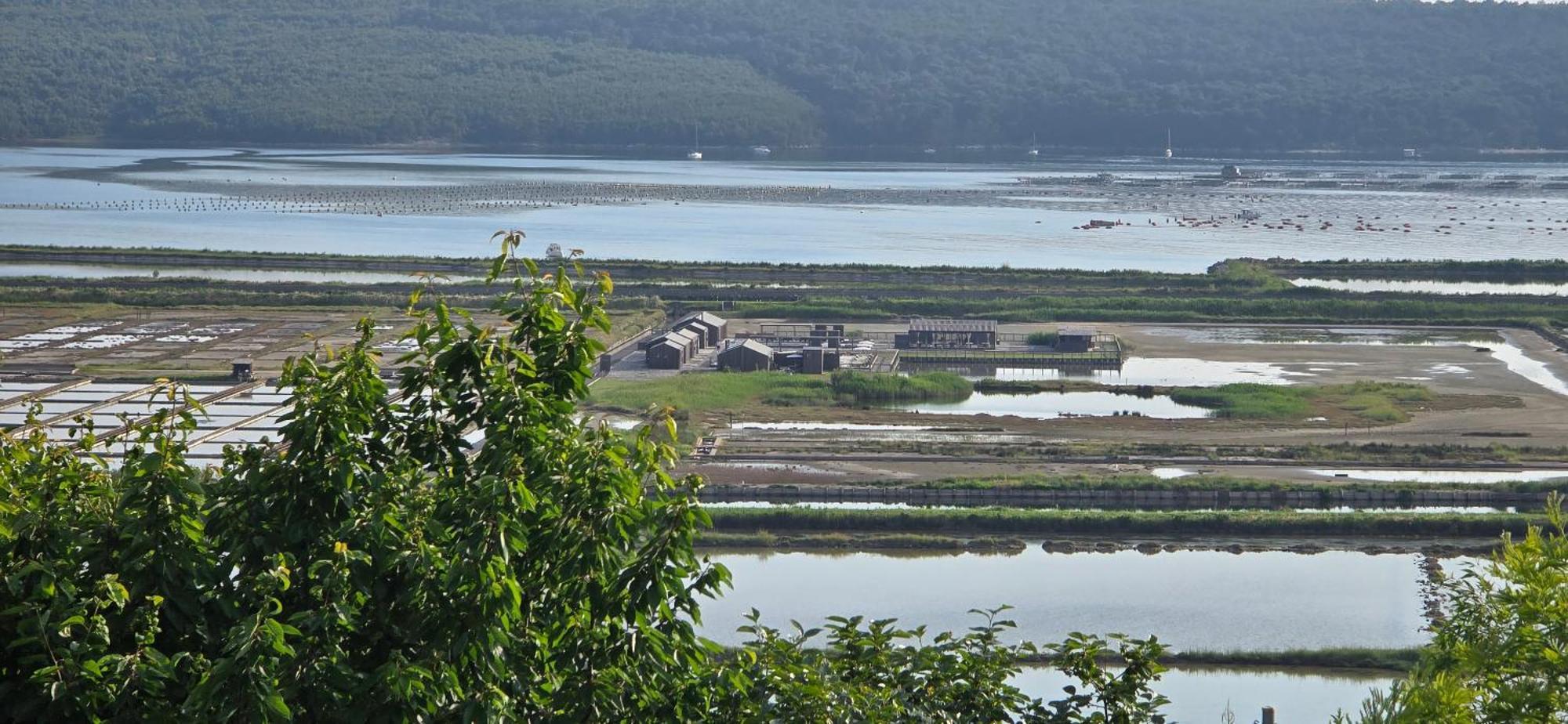Apartment Salt Pans View Portorož Extérieur photo